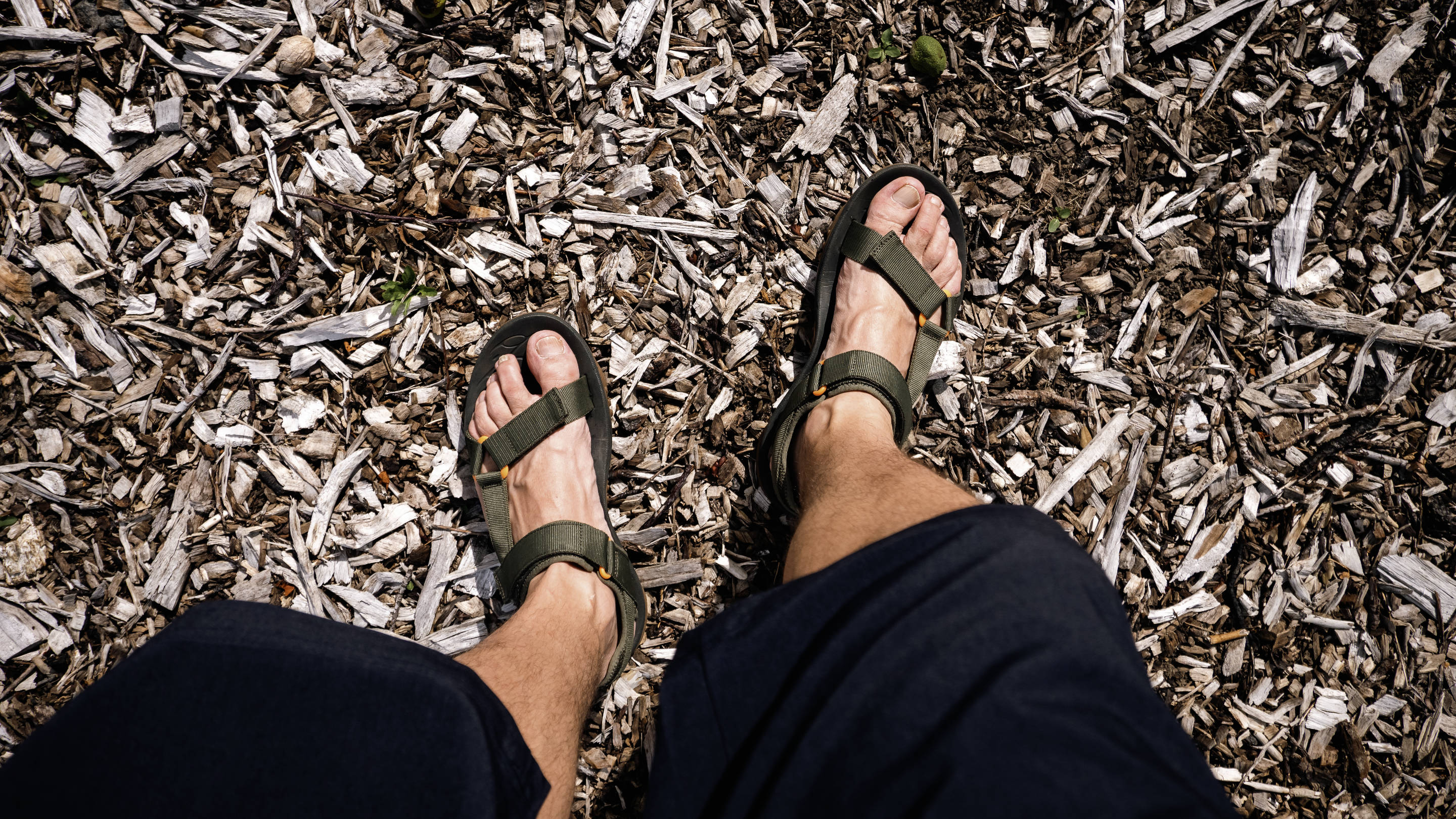 Men s Sandals Merrell NZ