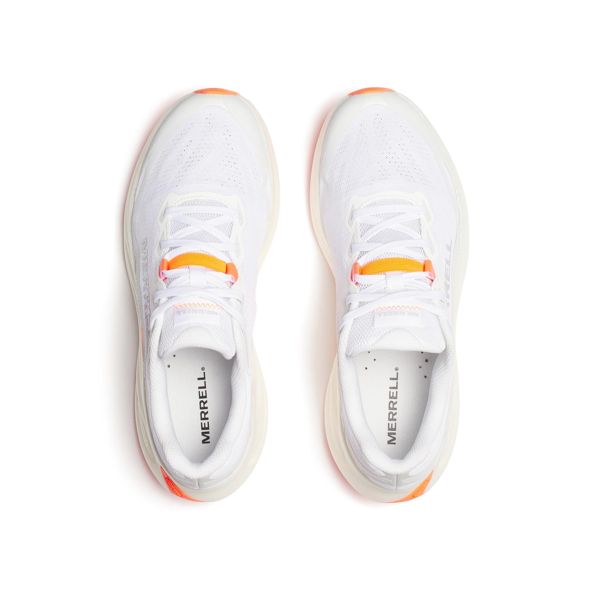 ProMorph Men's